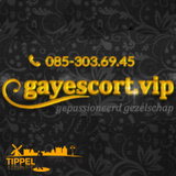 Gay Escort